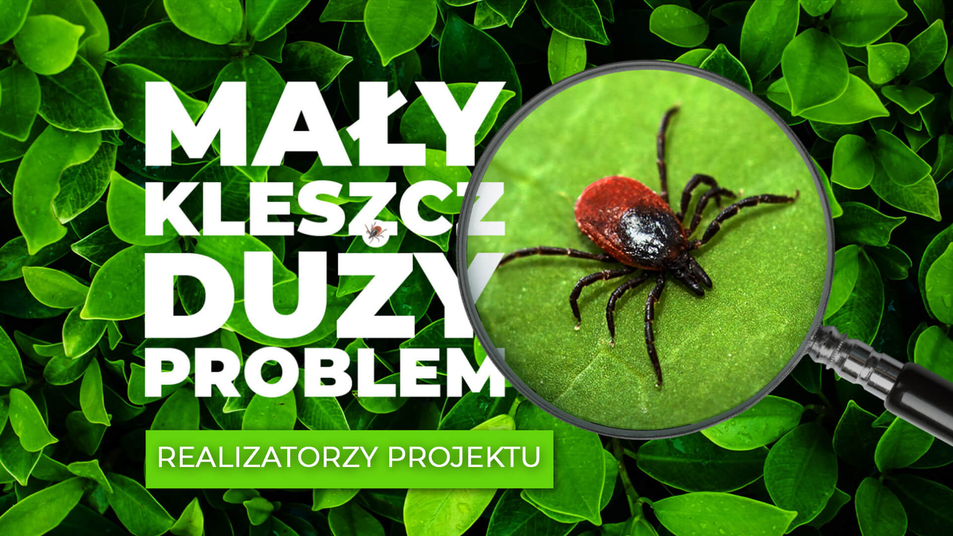 realizatorzy projektu Profilaktyka chorób odkleszczowych w województwie łódzkim i mazowieckim realizatorzy projektu Profilaktyka chorób odkleszczowych w województwie łódzkim i mazowieckim