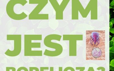 Czym jest borelioza