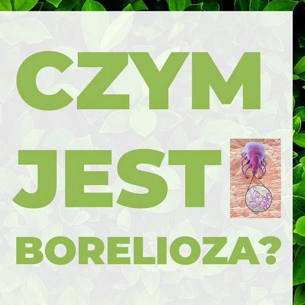 Czym jest borelioza.