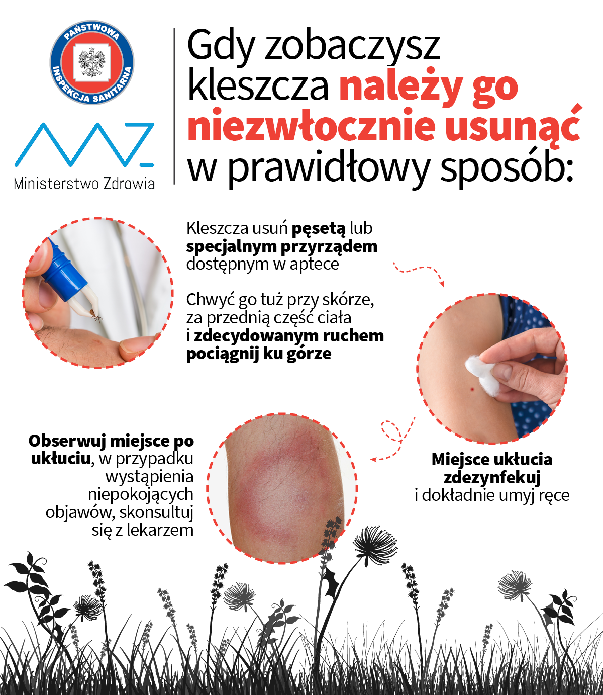 kleszcz