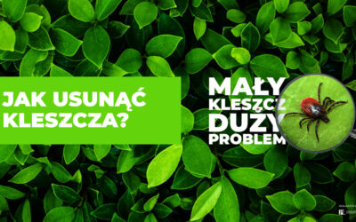 „Szybkie” porady – zabezpiecz się